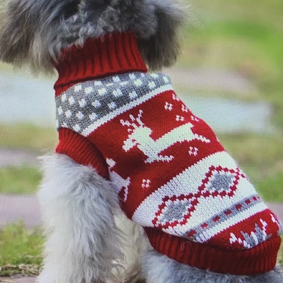 Other - HOST PICK Warmth knitted dog sweater size small